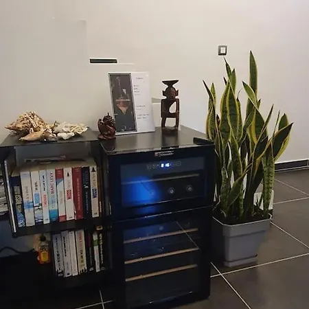 , Quartier Pinède Au Cap D'agde Villa Agde