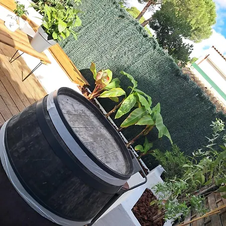 , Quartier Pinède Au Cap D'agde Agde